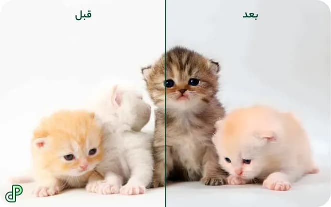 فعالسازی و ورود به برنامه Remini
